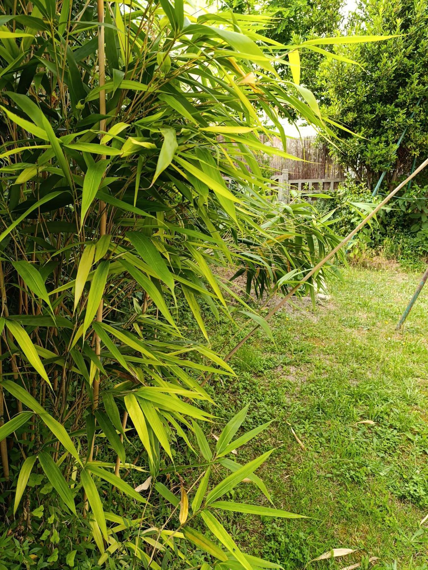 Appartement Seine Bezons